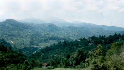 rize tepelerinden g�r�nt�ler